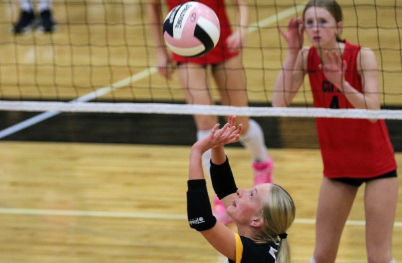 Scouting Reports, Photos: Janesville Wildcats 2026
