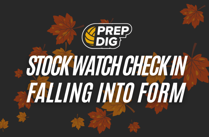 Stock Watch Check-In: Falling Into Form