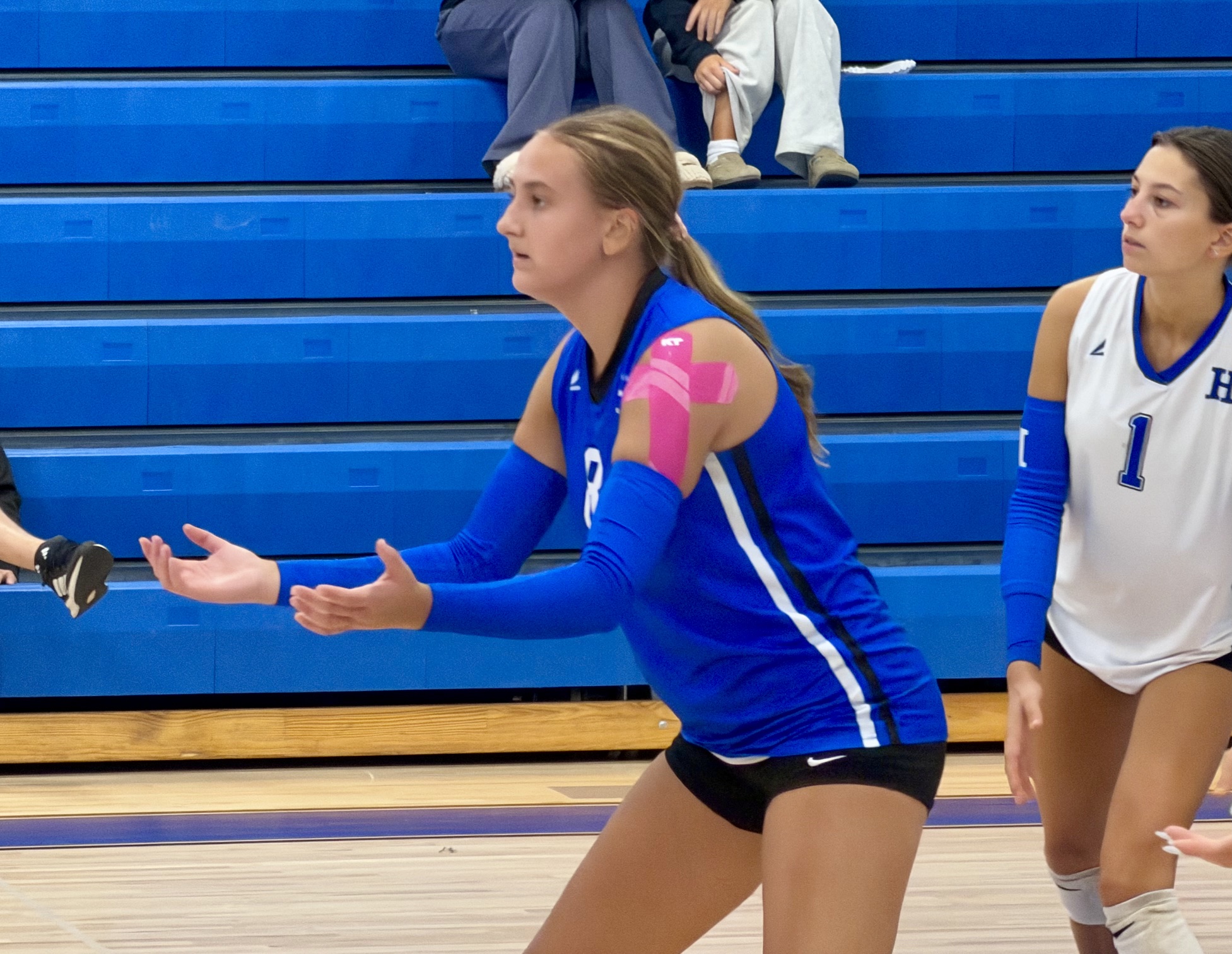 Alexis Steinhauser