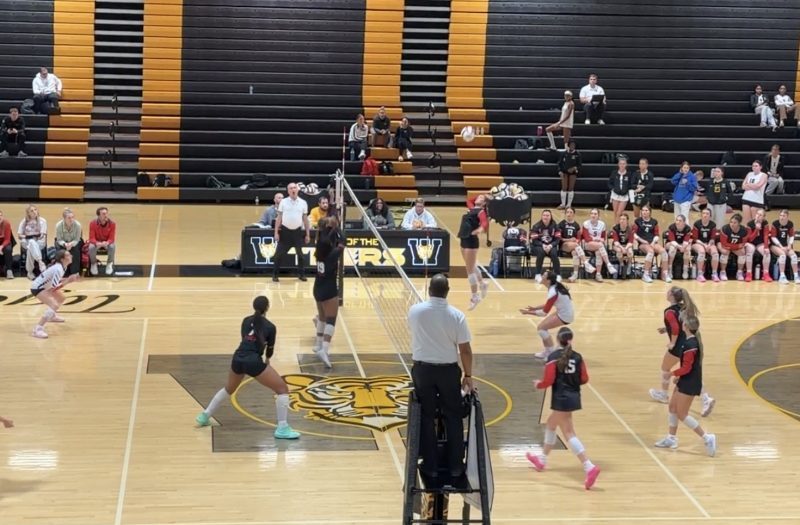 Regional Games 10 Stars Showing Out On The Court