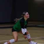 Maci Goodwin