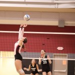 Avery Desota-Weston