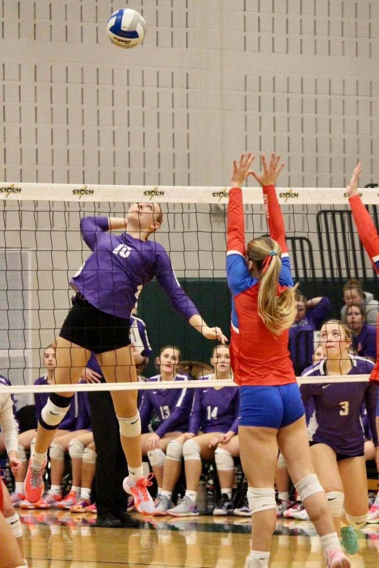 Brynn Panek