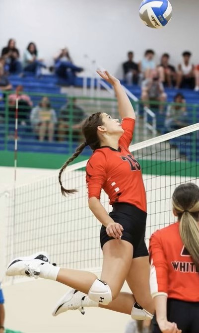 Addison Siler
