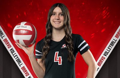 Barren River Area Volleyball Organization 15s Teams Overview