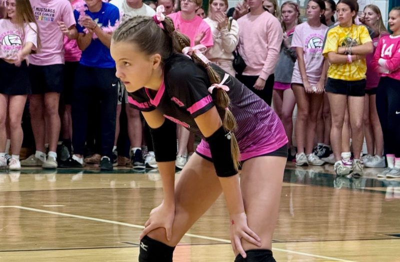 Power And Accuracy: Volleyball Unicorns