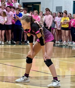 Hits for Chicks NewCath at Bishop Brossart impressions