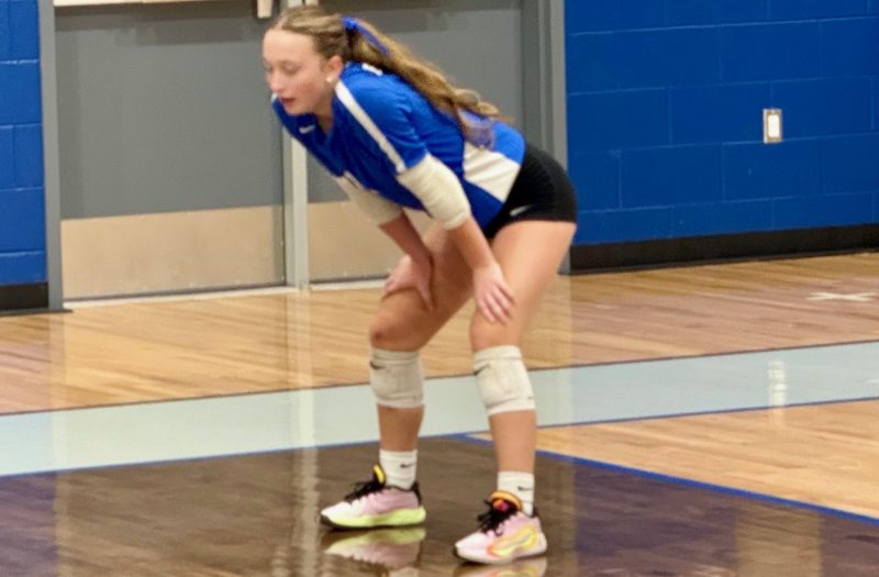 Five 14th Region 2029 Hitters on the Rise