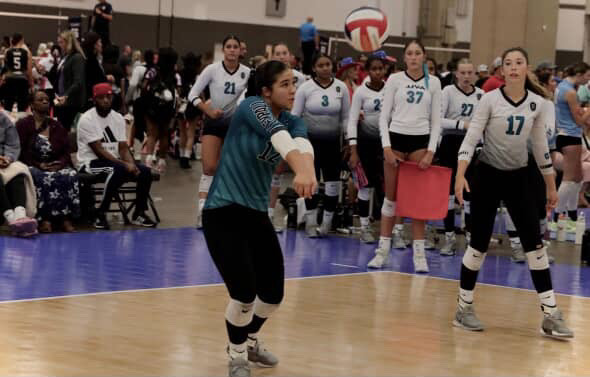 Allison Anelaokalani Howard