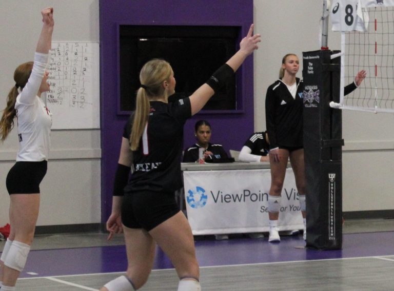 Taylor McLeay