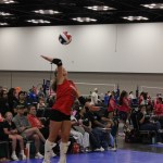 Reese Blauhorn