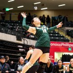 Avery Sundberg