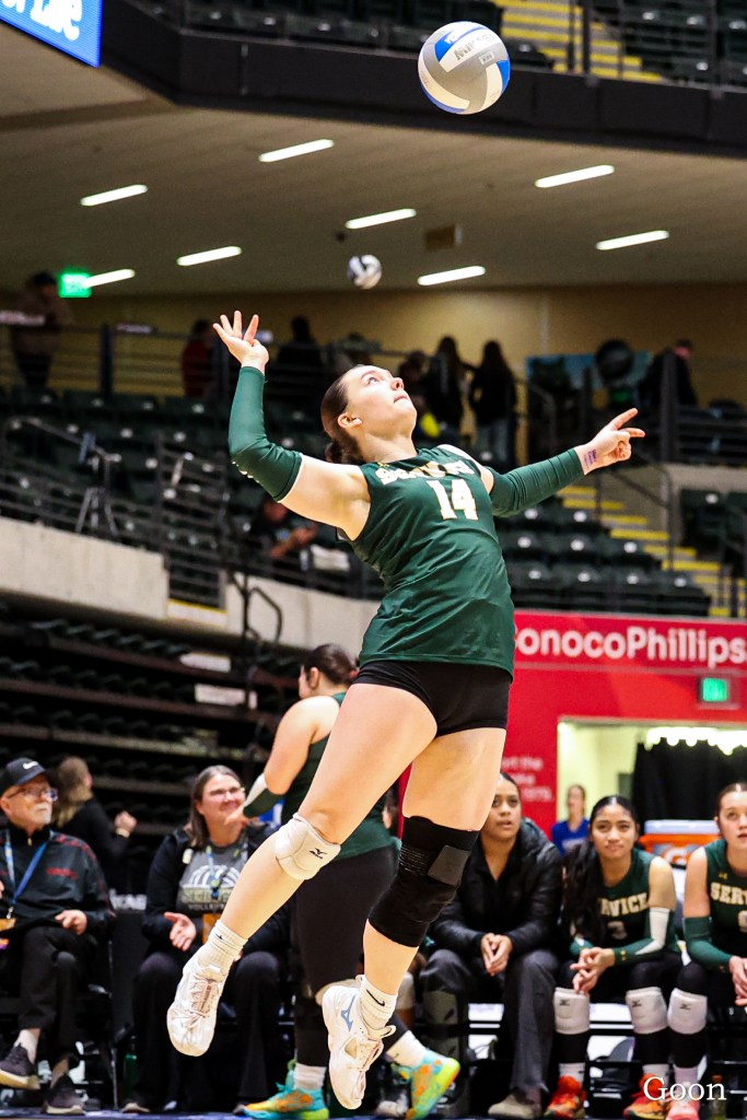 Avery Sundberg