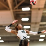Sydney Crowder