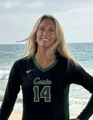 Allyn Hilt