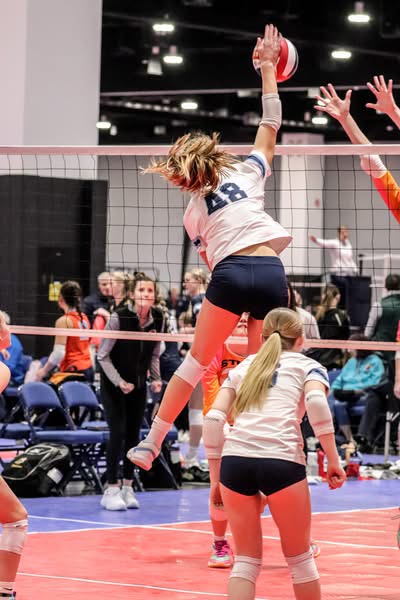 Hadley Stenavich