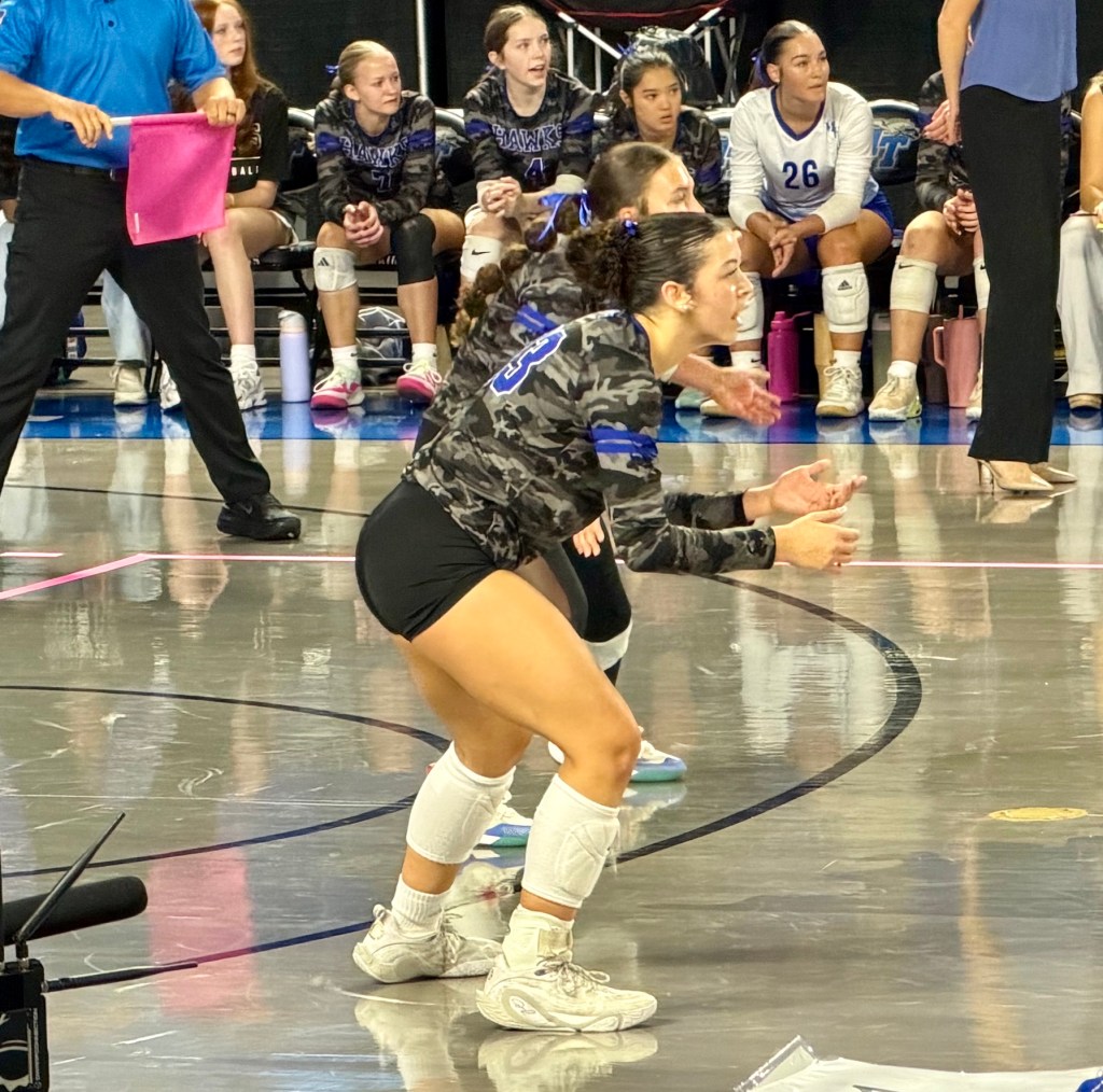 Izzy Shaw