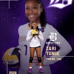 Zari Tonge