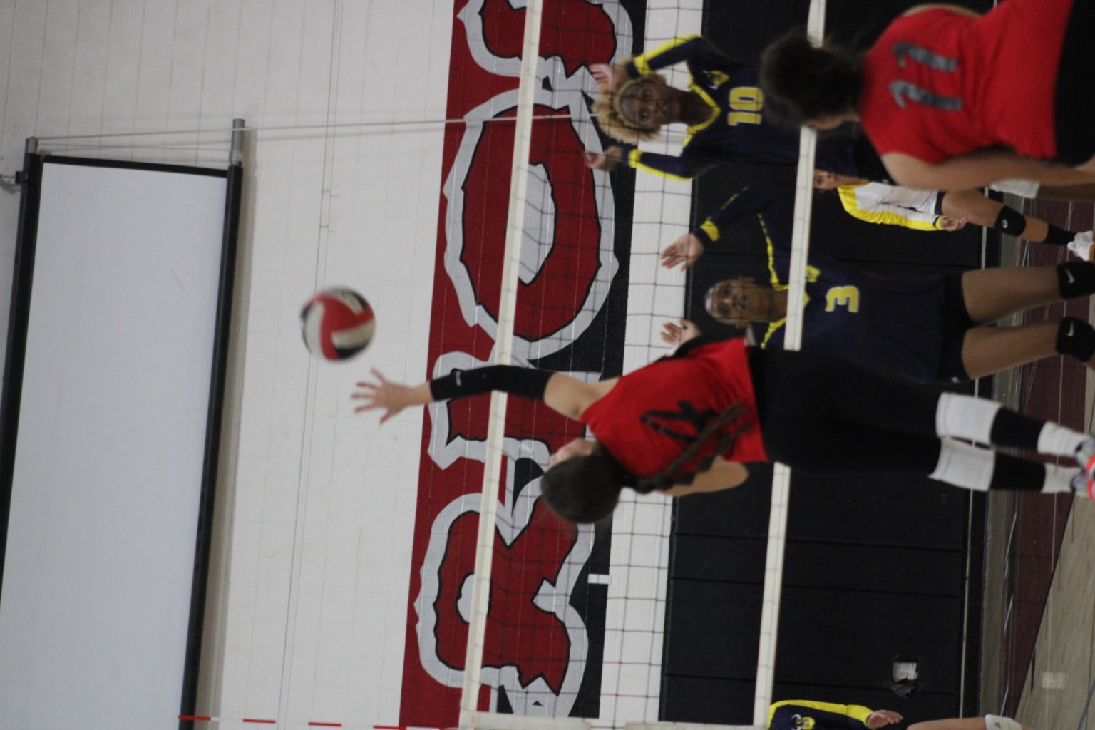 Alexis (Lexi) Esparza