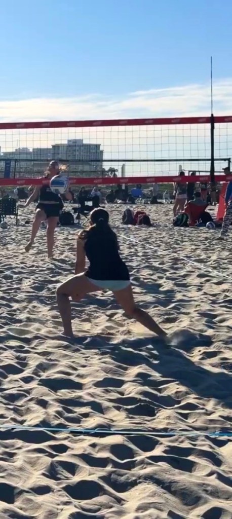 Whitney Wollheim