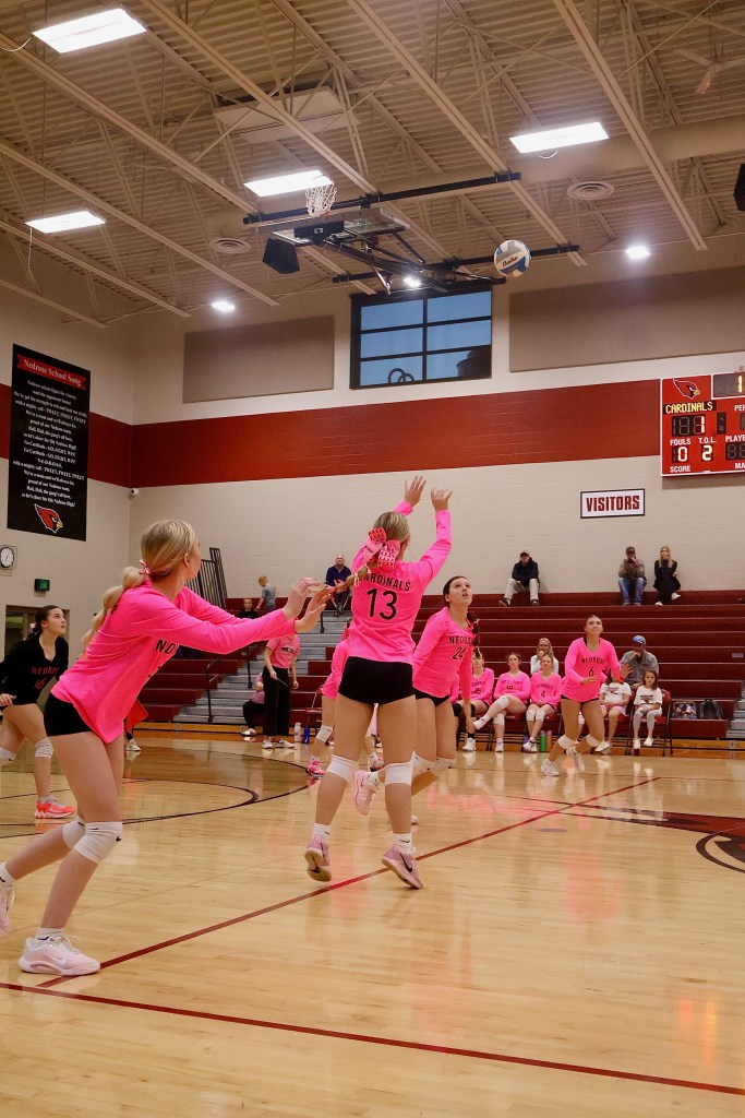 Brynley Bertsch