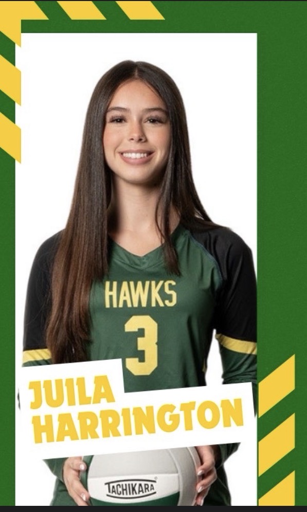 Julia Harrington