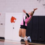 Sydney Arp