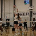 Lexi Davidson