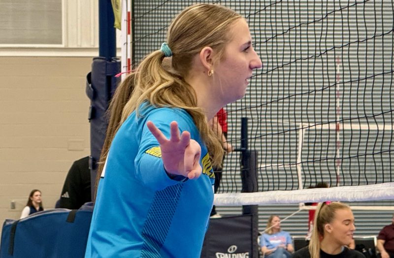 Five west TN Players Worth Price of Admission