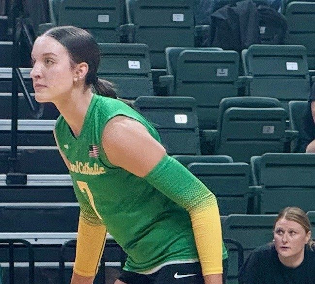 Licking County Will Return Big Offense Among Top Hitters