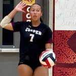 Solid Setters at Stock Up Showcase