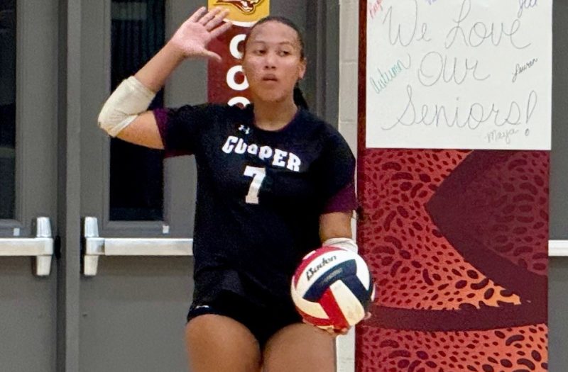 Solid Setters at Stock Up Showcase