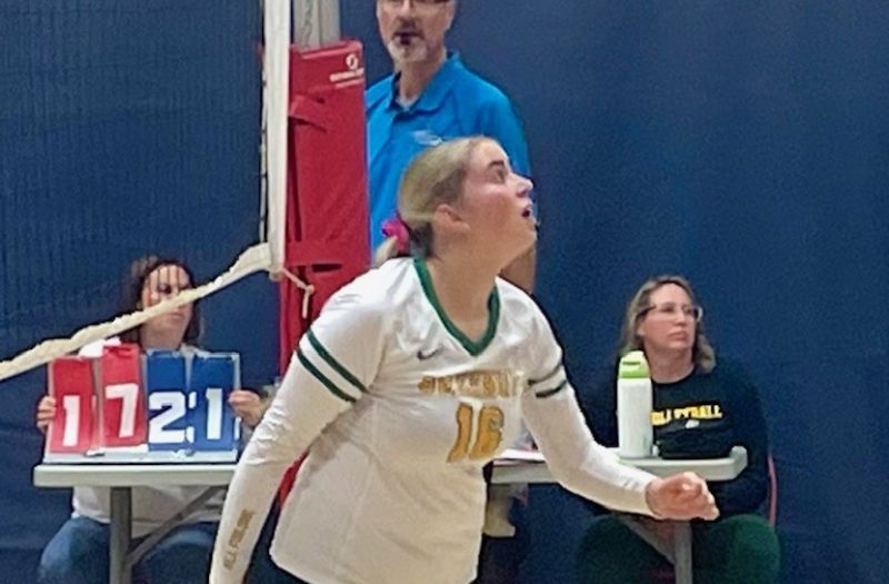 Middles I Liked At The Kentucky Stock Up Showcase