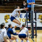 Five More Dazzlers in the latest 2029 Watch List