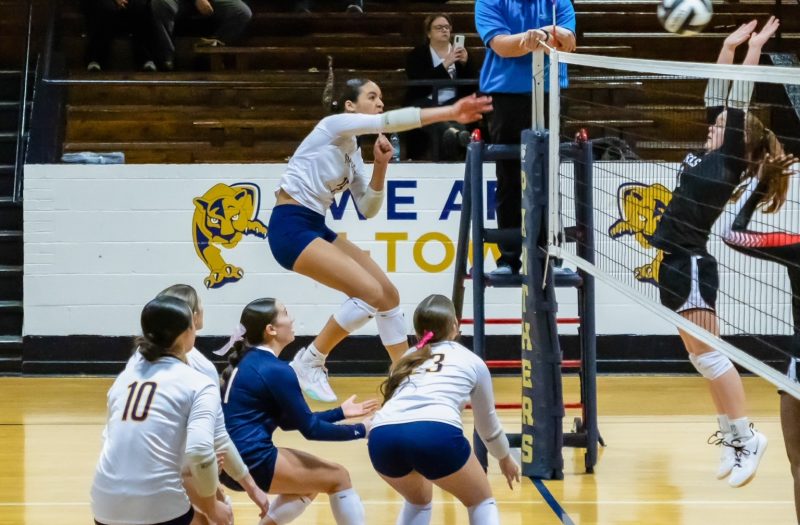 Five More Dazzlers in the latest 2029 Watch List