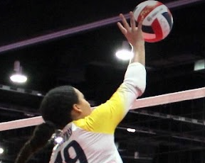 Olivia Graves
