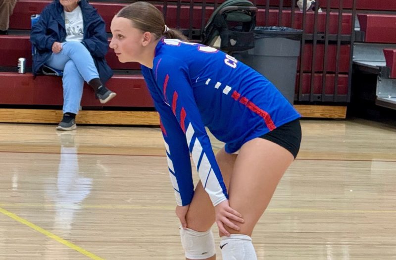Postseason Action: 33rd District Semifinal Takeaways