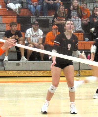 Rylie Ritter