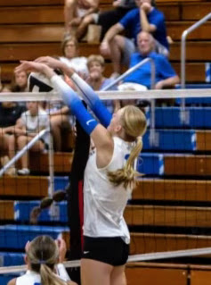 Audra Gehl