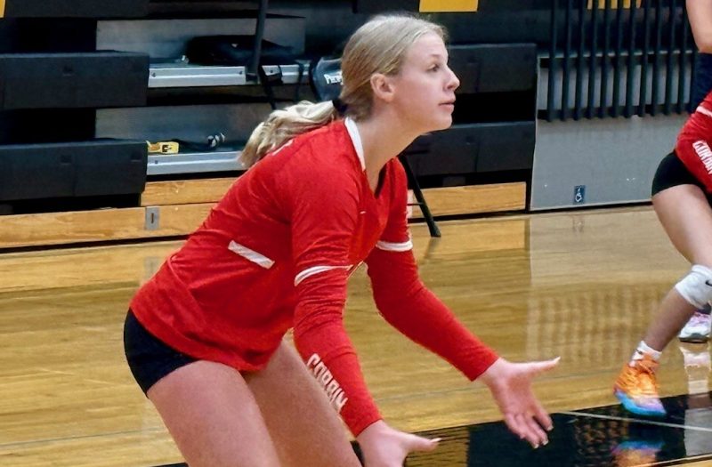 Five Dazzlers in the latest 2029 Watch List