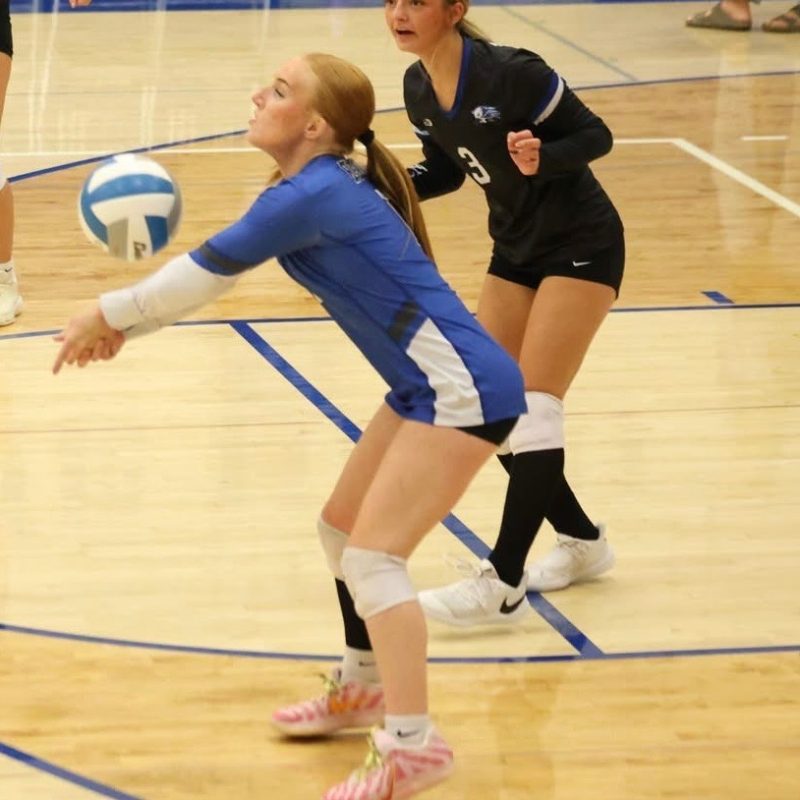 Quinn Albrecht